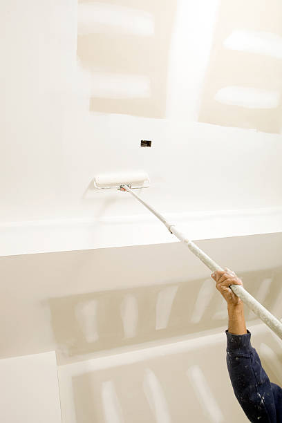 Best Mold Odor Removal Services  in Halesite, NY